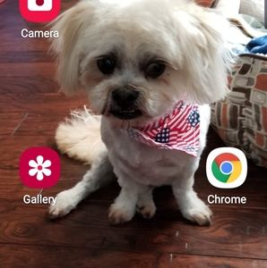 Meet your Posher, Debbie